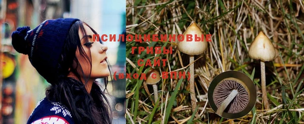 марки nbome Алзамай