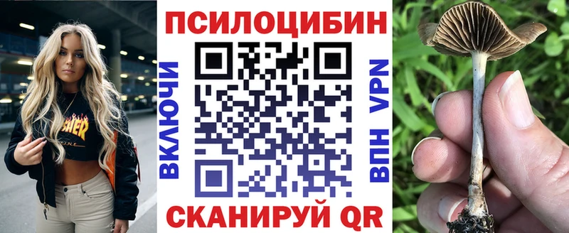 цены наркотик  Крым  Псилоцибиновые грибы мицелий 