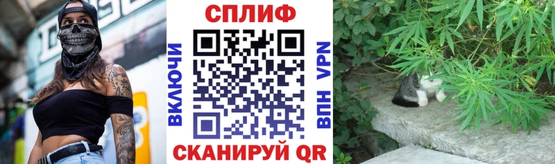 где продают Крым Конопля сатива